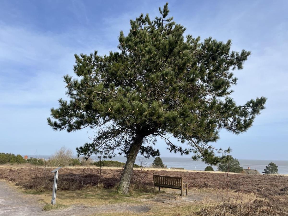 Adrian 2 Lägenhet Westerland Exteriör bild